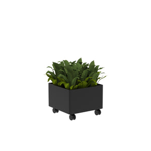 KASKAD® CASTERS Indoor Painted Steel Square Planter, 18" W x 18" D x 13-1/4" H