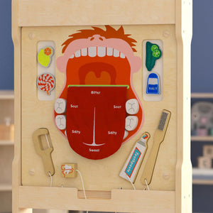 Bright Beginnings Commercial Grade STEAM Wall Activity Board with Natural Finish and Multicolor Accents, Dental Hygiene