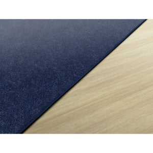 Amerisoft Solid Color Rug, 4' x 6' Rectangle