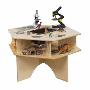 Deluxe Science Activity Table