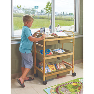 Small Bamboo Book Browser Cart with Six Tubs, Sage Tubs