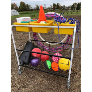 Phys Ed Cart
