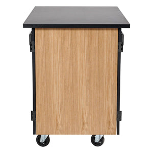 MSC Series Mobile Microscope Storage Cart with Dividers, Chem-Res Top