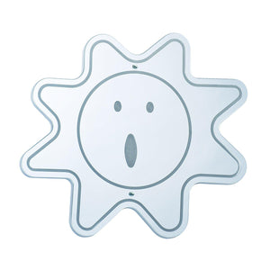 Surprise And Wonder Acrylic Mirror