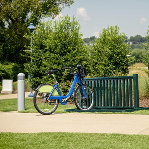 Frog Furnishings Resinwood Bike Rack