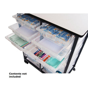 Mobile Bin Double Row Storage Unit with 12 Clear Bins