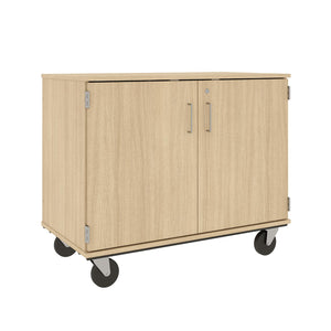 Closed Bin Mobile Storage with (18) 3" Bins, Lockable