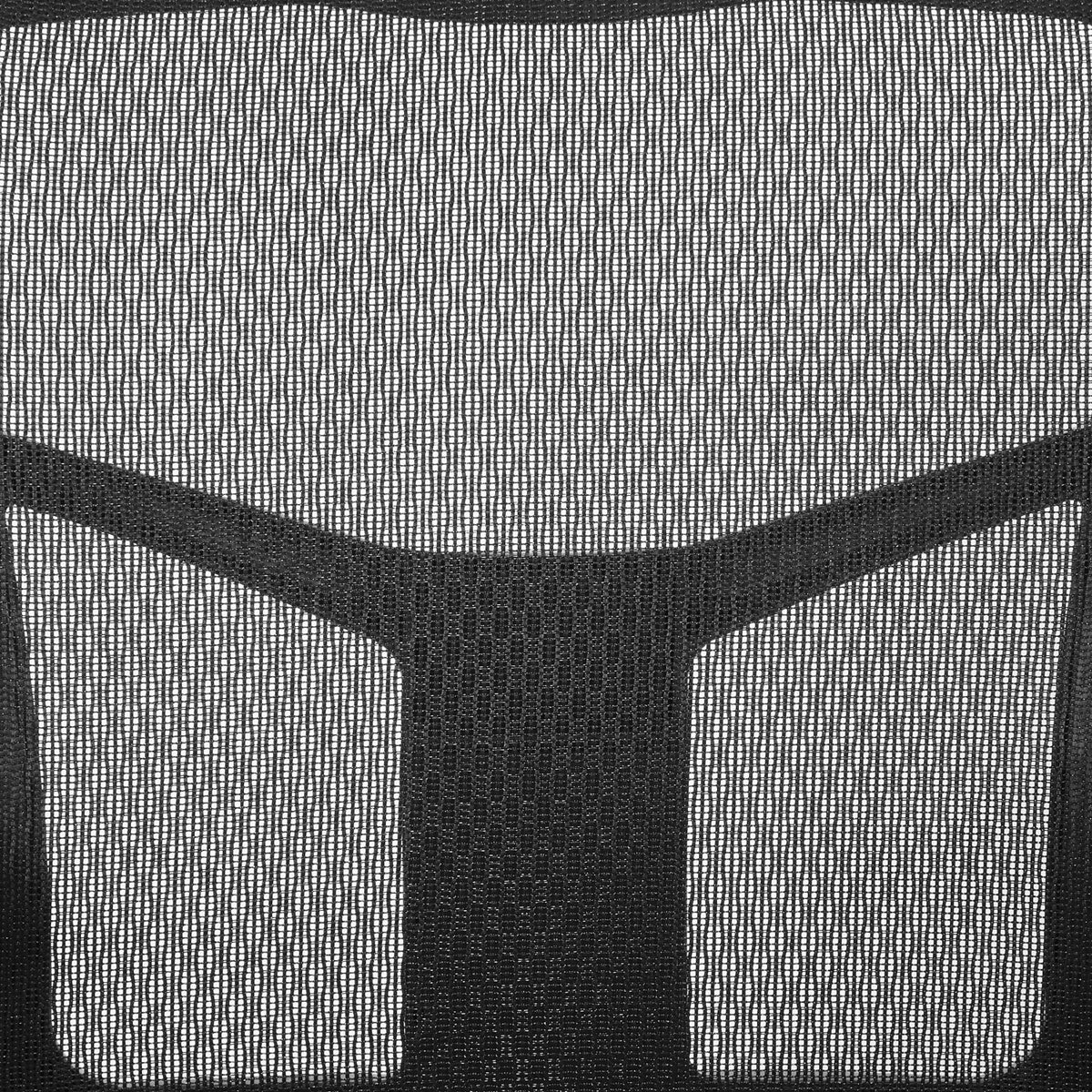 ProGrid® Mesh Back Visitor’s Chair with Arms and Sled Base, Black Dillon Seat