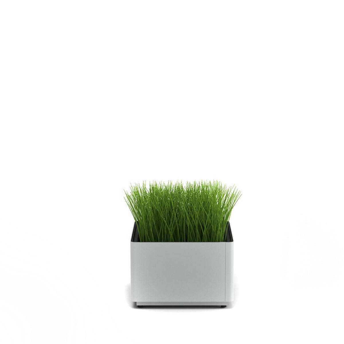 KASKAD® Indoor Painted Steel Square Planter, 18" W x 18" D x 12" H