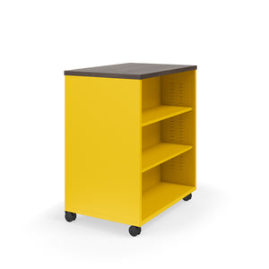 Ruckus Double-Faced Metal Bookcase with 4 Adjustable Shelves, Laminate Top, 36" W x 24" D x 36" H, FREE SHIPPING