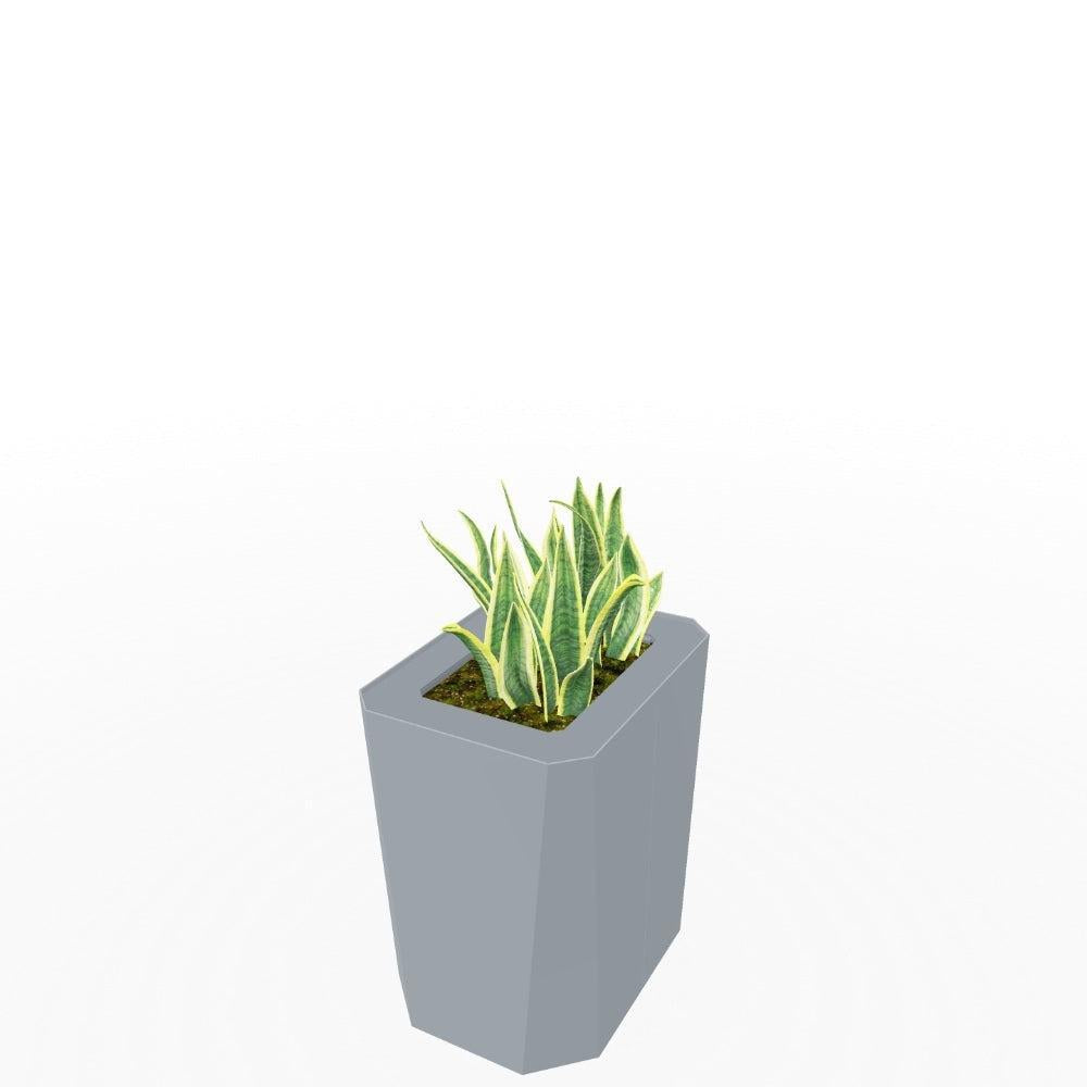 Kasta Indoor Medium Height Painted Steel Rectangular Planter, 12" W x 16" D x 18-1/4" H