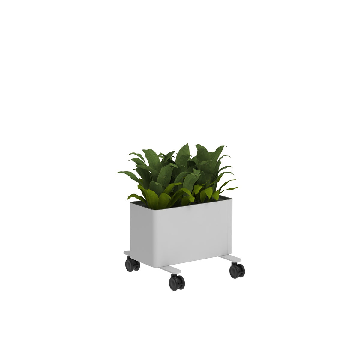 KASKAD® CASTERS Indoor Painted Steel Rectangular Planter, 18" W x 18" D x 14-1/4' H