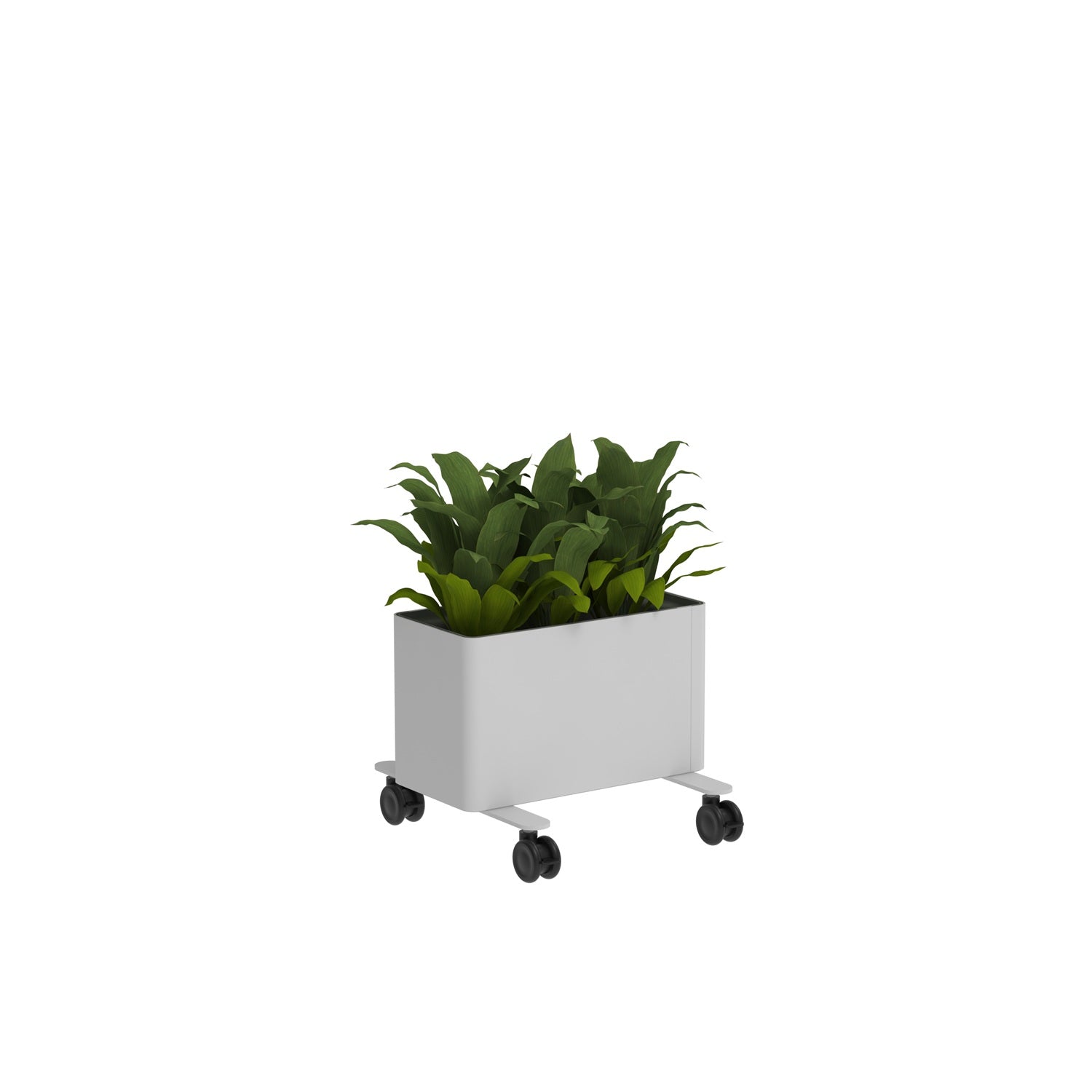 KASKAD® CASTERS Indoor Painted Steel Rectangular Planter, 18" W x 18" D x 14-1/4' H