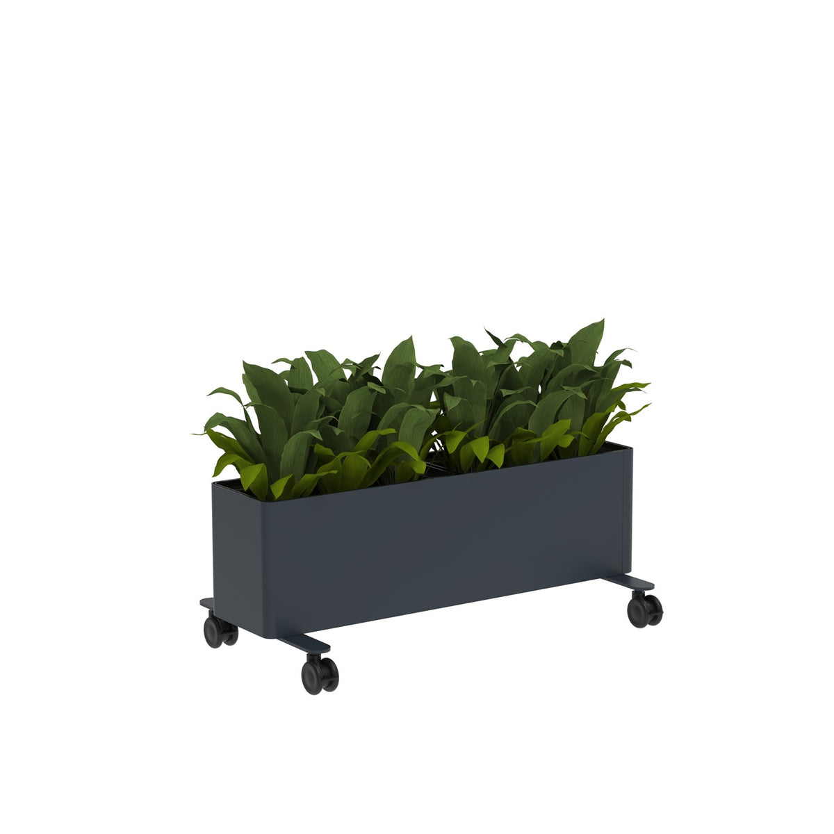 KASKAD® CASTERS Indoor Painted Steel Rectangular Planter, 36" W x 18" D x 14-1/4" H