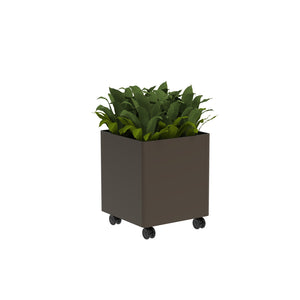 KASKAD® CASTERS Indoor Painted Steel Square Planter, 18" W x 18" D x 21-1/4" H