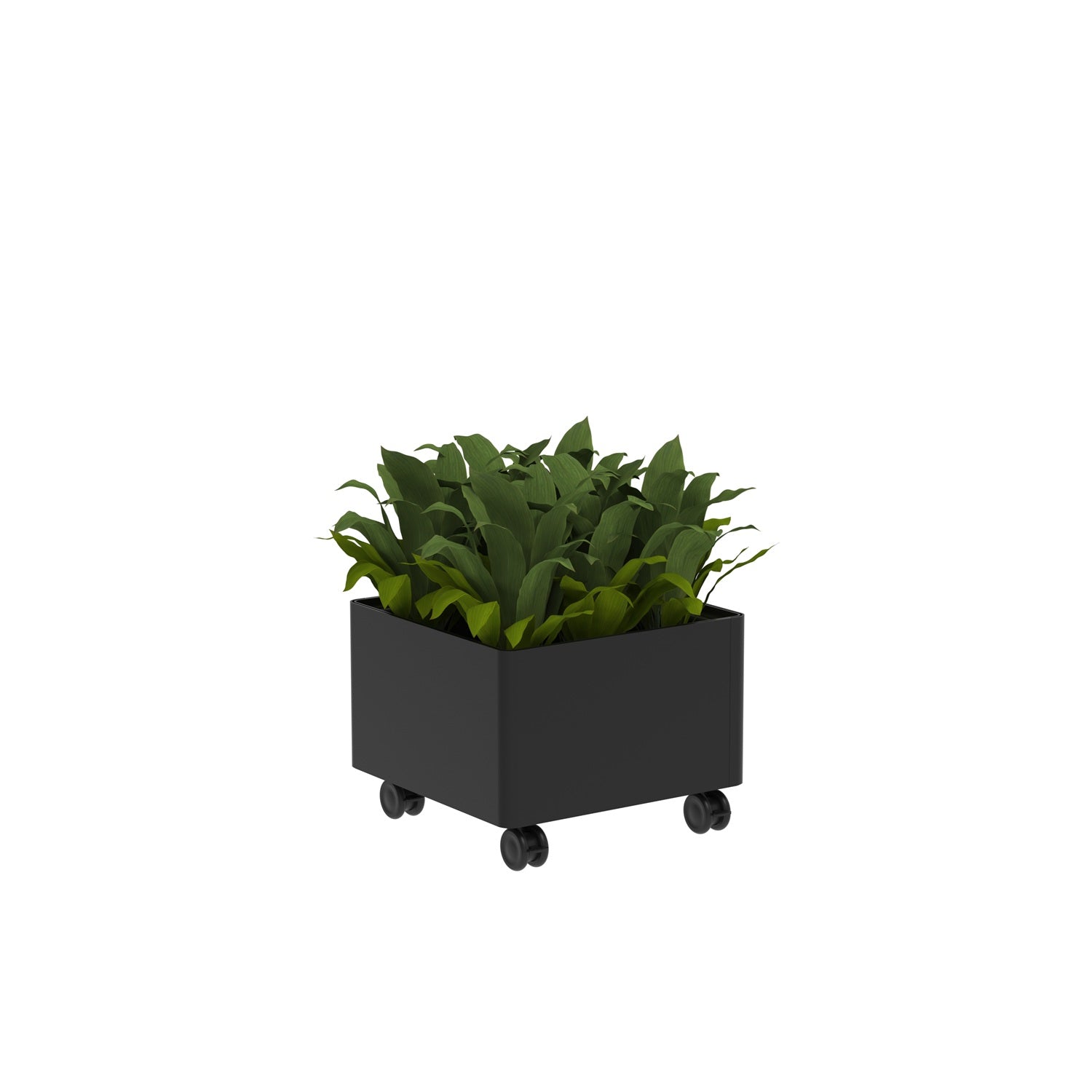 KASKAD® CASTERS Indoor Painted Steel Square Planter, 18" W x 18" D x 13-1/4" H