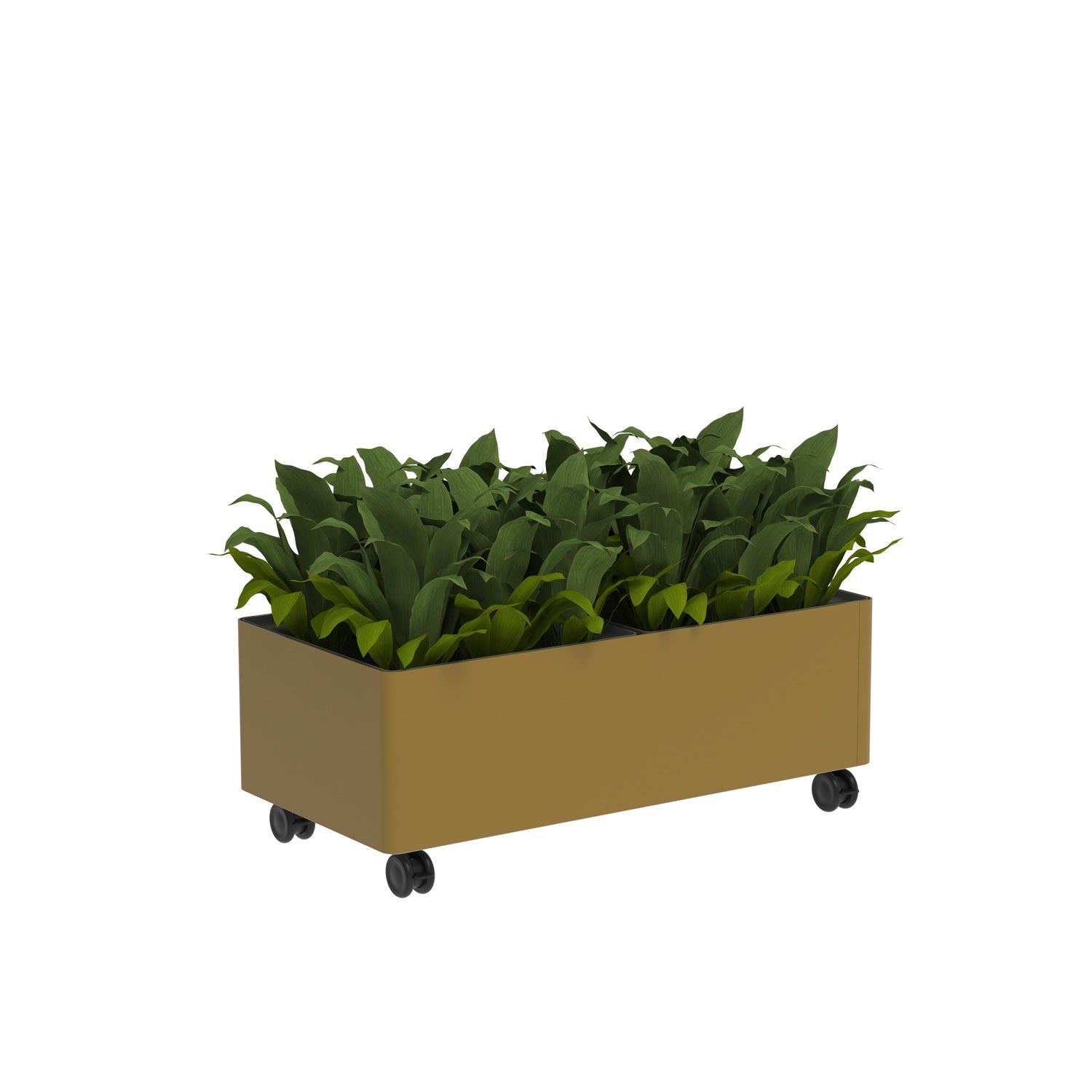 KASKAD® CASTERS Indoor Painted Steel Rectangular Planter, 36" W x 18" D x 13-1/4" H