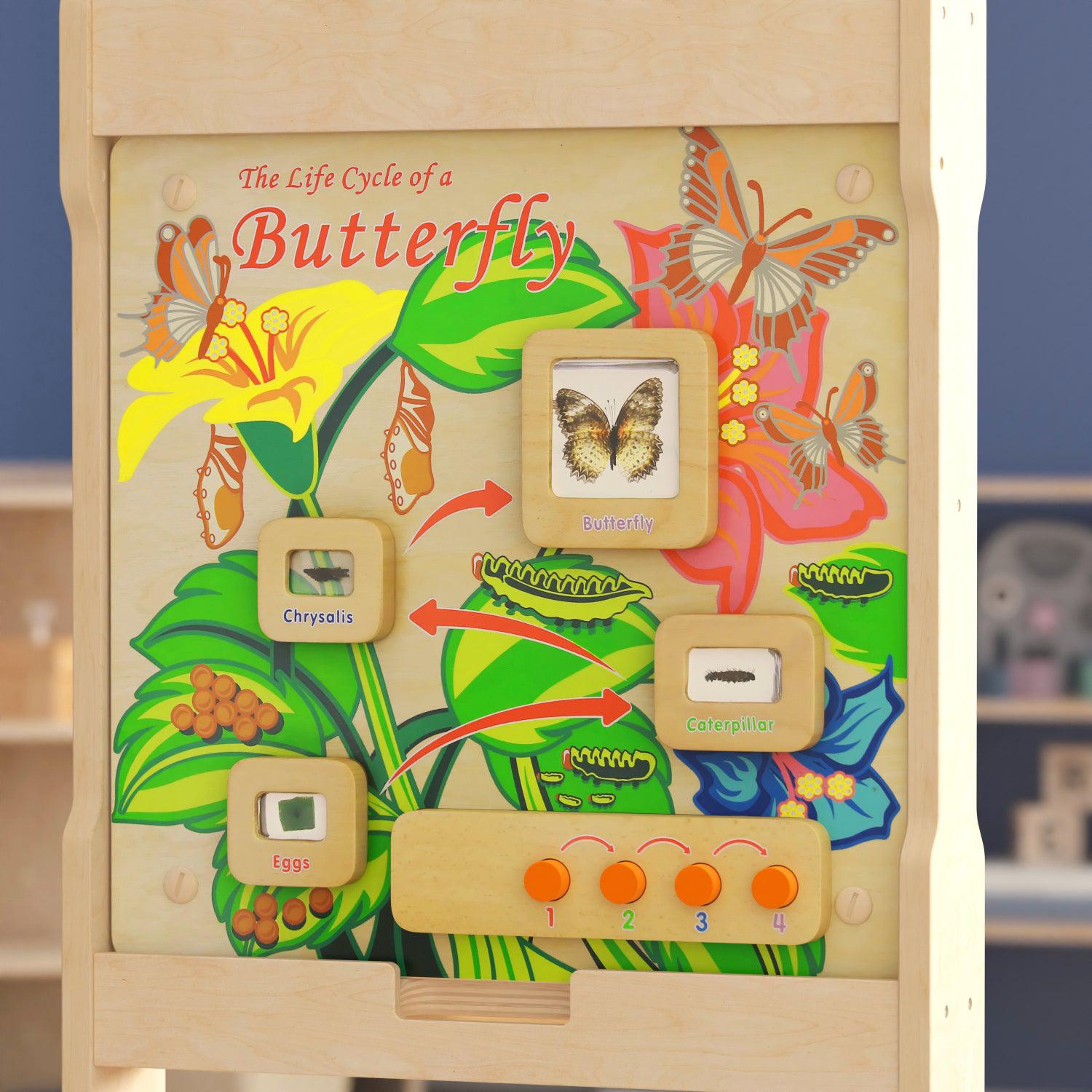 Bright Beginnings Commercial Grade STEAM Wall Activity Board with Natural Finish and Multicolor Accents, Butterfly Life Cycle