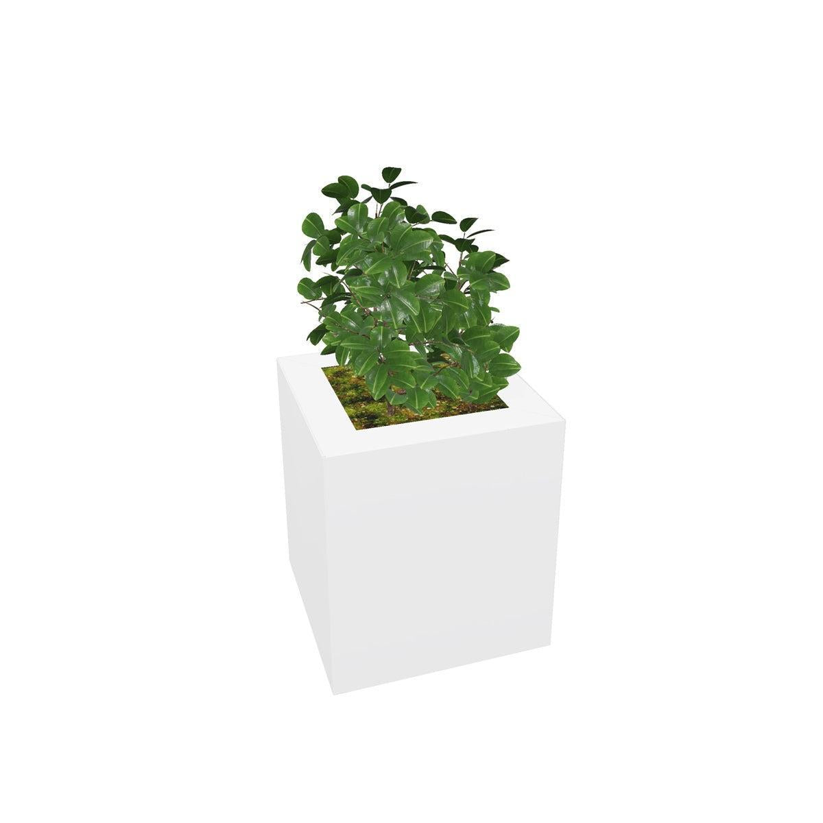 PIC Indoor Painted Steel Single Compartment Square Planter, 11-7/8" W x 11-7/8" D x 13-3/8" H