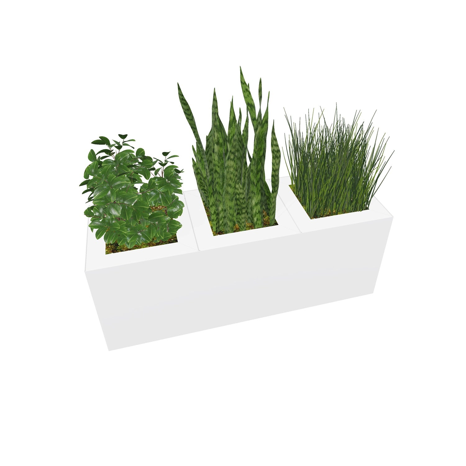 PIC Indoor Painted Steel Triple Compartment Planter, 35-5/16" W x 11-7/8" D x 13-3/8" H