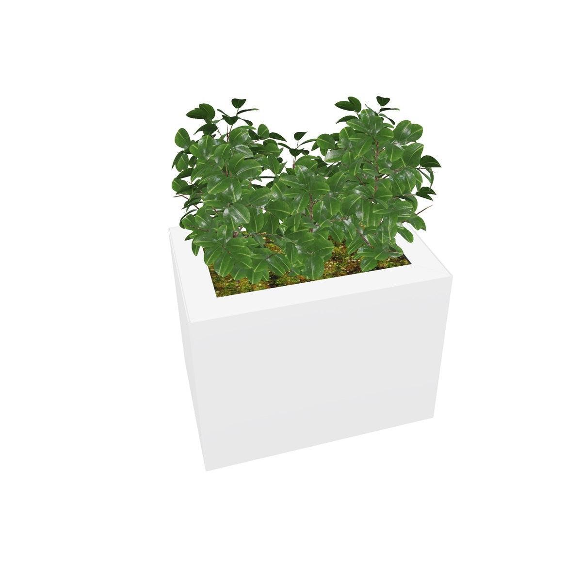 PIC Indoor Painted Steel Single Compartment Rectangular Planter, 17-11/16" W x 11-7/8" D x 13-3/8" H