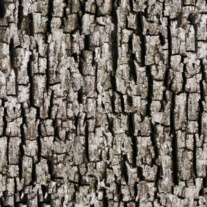 MeroWings® Tree Stump, FREE SHIPPING