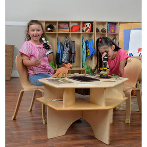 Deluxe Science Activity Table