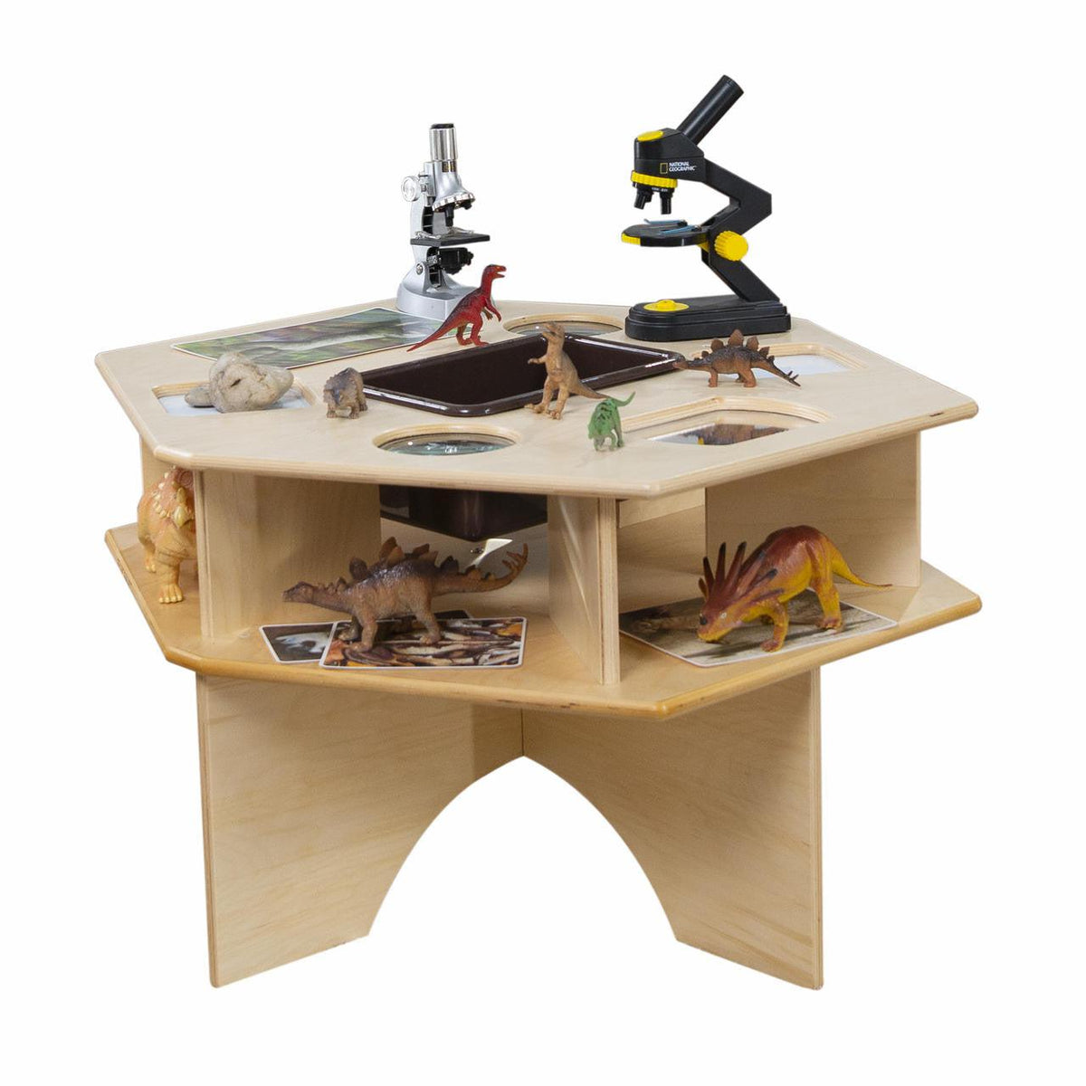 Deluxe Science Activity Table