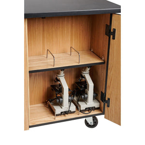 MSC Series Mobile Microscope Storage Cart with Dividers, Chem-Res Top