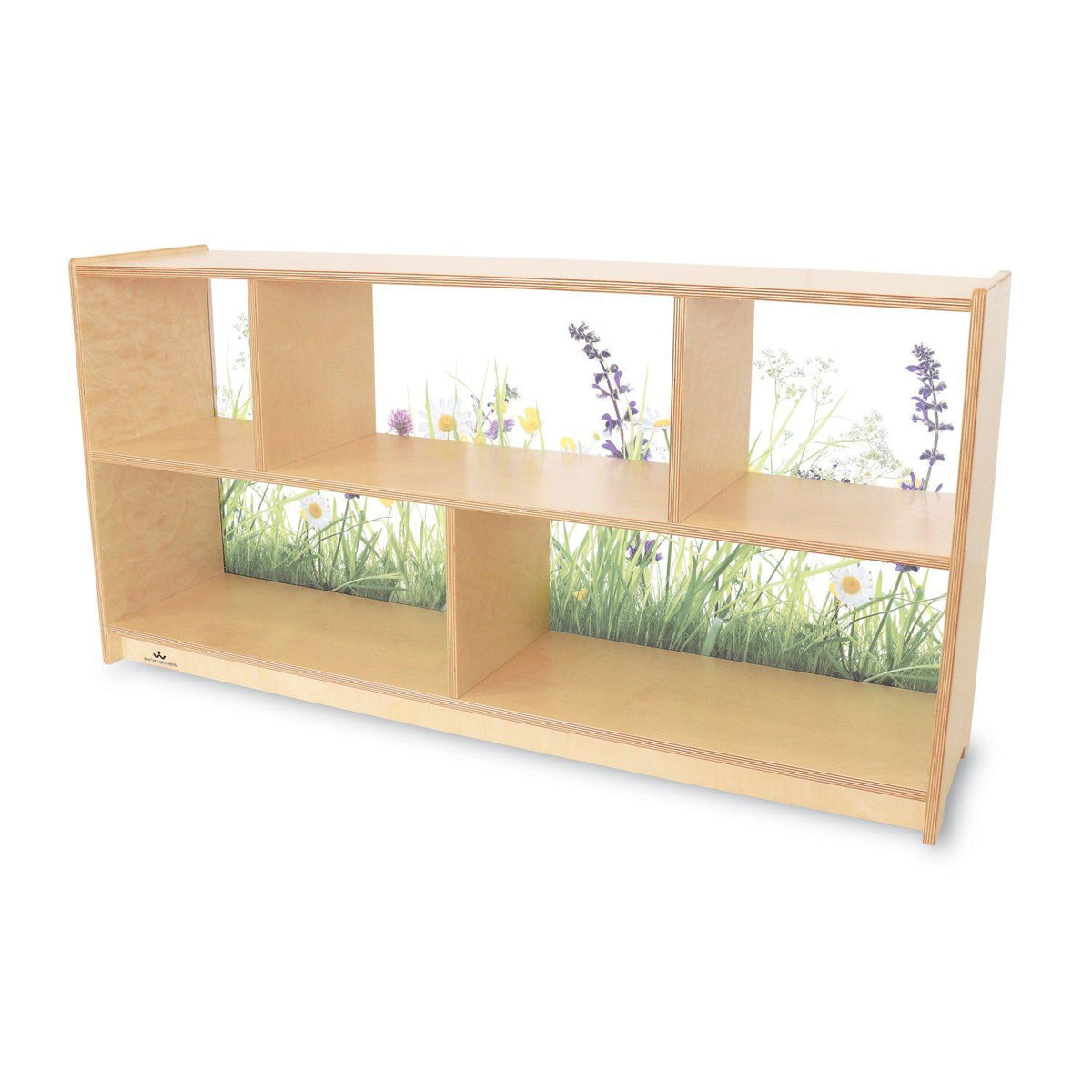 Nature View Acrylic Back Cabinet, 24" H