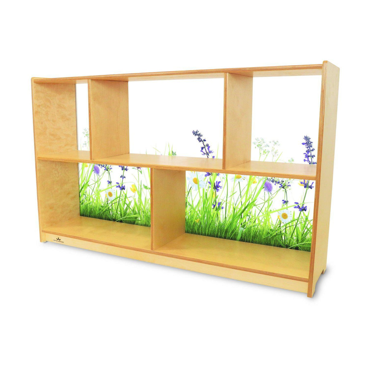 Nature View Acrylic Back Cabinet, 30" H