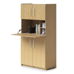 Teacher's Collection Work Station Cabinet