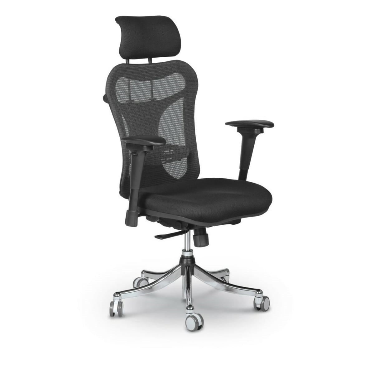 Ergo Ex Mesh Back Ergonomic Office Chair NextGen Furniture Inc