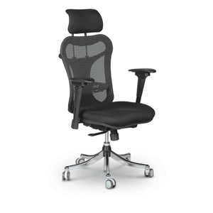 Ergo Ex Mesh-Back Ergonomic Office Chair