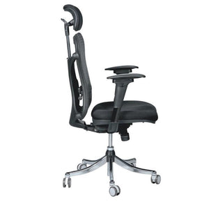 Ergo Ex Mesh-Back Ergonomic Office Chair