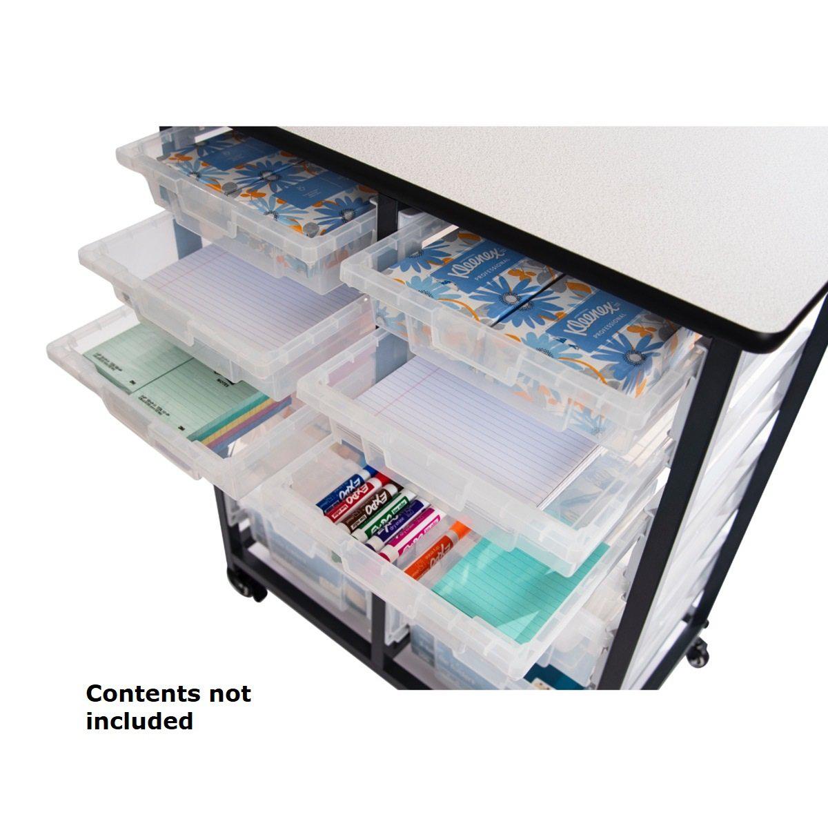 Mobile Bin Double Row Storage Unit with 12  Clear Bins