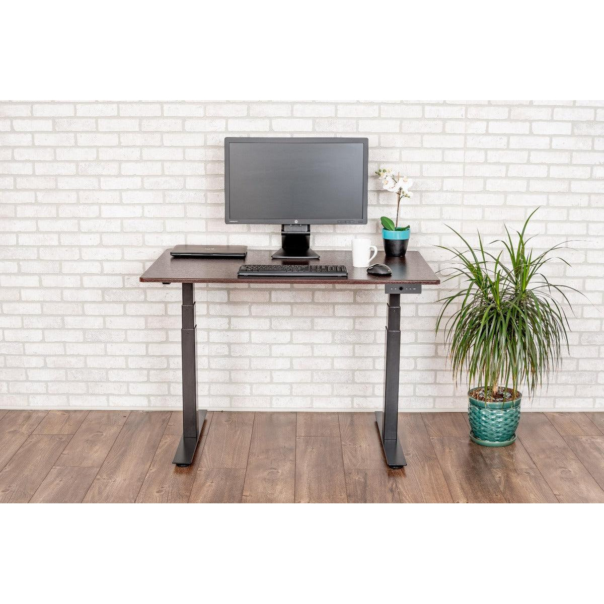 60" 3-Stage Dual-Motor Electric Stand Up Desk, Black Frame, Dark Walnut Top