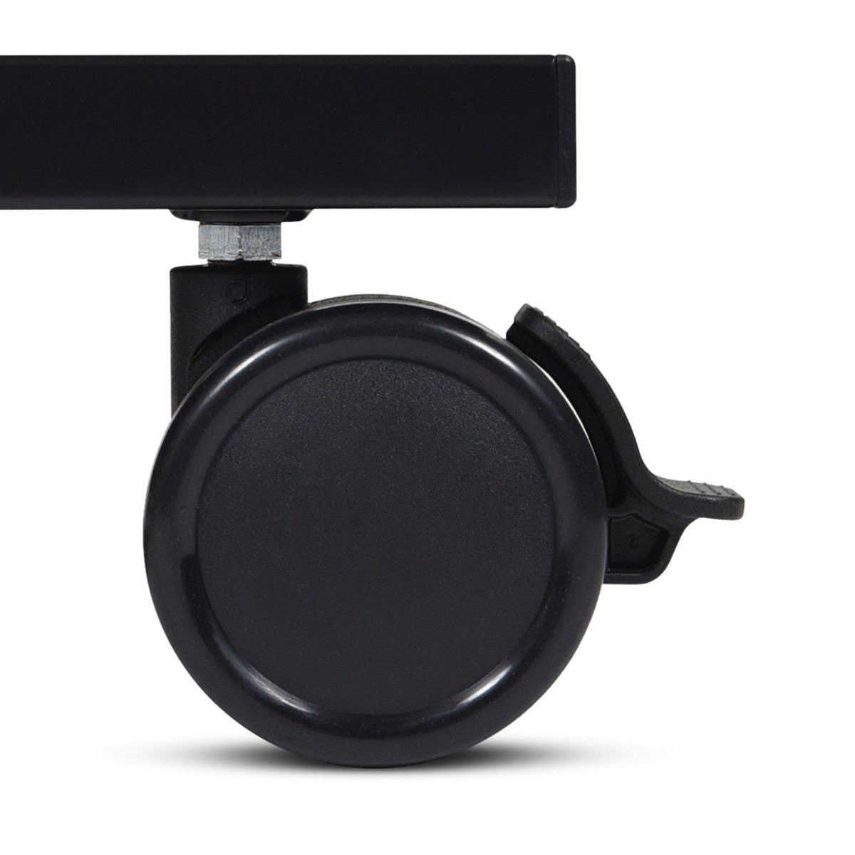 40" Mobile Presentation Station